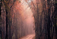 查配資炒股:手機上買股票怎么操作-9月1日港股收盤：恒指漲2.15% 阿里巴巴領漲成分股